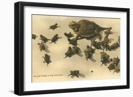 Baby Horned Toads-null-Framed Art Print