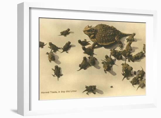 Baby Horned Toads-null-Framed Art Print