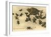 Baby Horned Toads-null-Framed Art Print