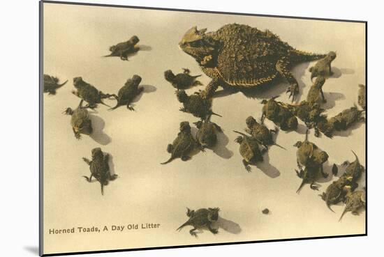 Baby Horned Toads-null-Mounted Art Print