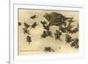 Baby Horned Toads-null-Framed Art Print