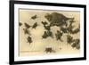 Baby Horned Toads-null-Framed Art Print