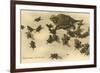Baby Horned Toads-null-Framed Premium Giclee Print