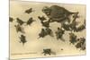 Baby Horned Toads-null-Mounted Premium Giclee Print