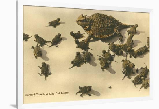 Baby Horned Toads-null-Framed Art Print