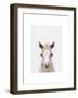 Baby Horse 1-Leah Straatsma-Framed Art Print