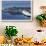 Baby Humpback Whale-Michele Westmorland-Framed Photographic Print displayed on a wall