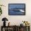 Baby Humpback Whale-Michele Westmorland-Framed Photographic Print displayed on a wall