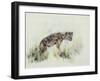 Baby Hyena, 1995-Odile Kidd-Framed Giclee Print