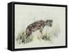 Baby Hyena, 1995-Odile Kidd-Framed Stretched Canvas