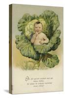Baby in a Cabbage-null-Stretched Canvas