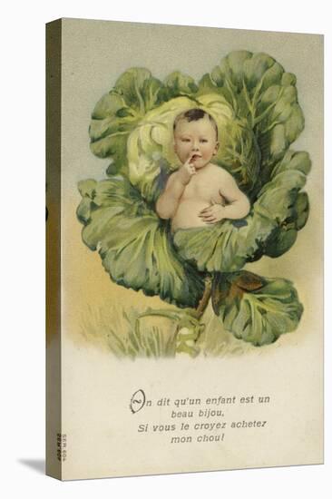 Baby in a Cabbage-null-Stretched Canvas