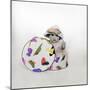 Baby in Hat Box Wearing the Hat from the Box-Nora Hernandez-Mounted Giclee Print