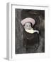 Baby in Saddle-Nora Hernandez-Framed Giclee Print