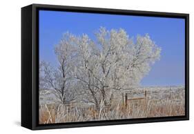 Baby its Cold Outside-Amanda Lee Smith-Framed Stretched Canvas