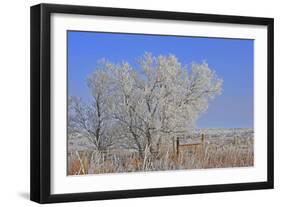 Baby its Cold Outside-Amanda Lee Smith-Framed Photographic Print