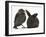 Baby Jackdaw (Corvus Monedula) with a Baby Black Rabbit-Mark Taylor-Framed Photographic Print