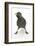 Baby Jackdaw (Corvus Monedula) with Feet Wide Apart-Mark Taylor-Framed Photographic Print