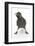 Baby Jackdaw (Corvus Monedula) with Feet Wide Apart-Mark Taylor-Framed Photographic Print