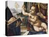 Baby Jesus, Detail from Madonna and Child with Saints-null-Stretched Canvas