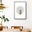Baby Lion Circle-Leah Straatsma-Framed Stretched Canvas displayed on a wall