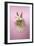 Baby Lion Head Rabbit (6 Wks Old)-null-Framed Photographic Print