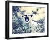 Baby Lion & Mother-sylvia pimental-Framed Art Print