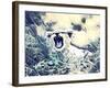 Baby Lion & Mother-sylvia pimental-Framed Art Print