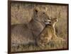 Baby Lion With Mother-Henry Jager-Framed Giclee Print