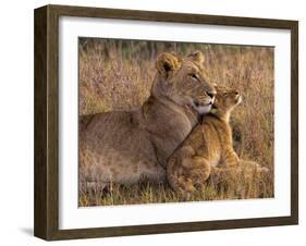 Baby Lion with Mother-Henry Jager-Framed Photographic Print