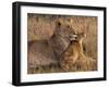 Baby Lion with Mother-Henry Jager-Framed Photographic Print