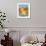 Baby Lion-Sophie Harding-Framed Giclee Print displayed on a wall