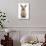 Baby Lionhead Cross Lop Rabbit, Standing-Mark Taylor-Photographic Print displayed on a wall