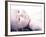 Baby Lying Down-null-Framed Photographic Print