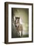 Baby Miniature horse paint colt-Maresa Pryor-Framed Photographic Print