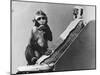 Baby Monkey with its Surrogate Mother-null-Mounted Photographic Print