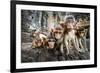 Baby Monkeys are Curious,Lopburi, Thailand.-jeep2499-Framed Photographic Print