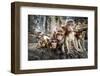 Baby Monkeys are Curious,Lopburi, Thailand.-jeep2499-Framed Photographic Print