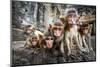 Baby Monkeys are Curious,Lopburi, Thailand.-jeep2499-Mounted Photographic Print