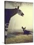 Baby Okapi Sitting on Mat of Straw as Its Mother Looks on at Parc Zooligique of Vincennes-Loomis Dean-Stretched Canvas