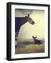 Baby Okapi Sitting on Mat of Straw as Its Mother Looks on at Parc Zooligique of Vincennes-Loomis Dean-Framed Photographic Print