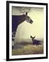 Baby Okapi Sitting on Mat of Straw as Its Mother Looks on at Parc Zooligique of Vincennes-Loomis Dean-Framed Photographic Print