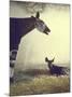 Baby Okapi Sitting on Mat of Straw as Its Mother Looks on at Parc Zooligique of Vincennes-Loomis Dean-Mounted Photographic Print