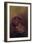 Baby orang-utan 2, 2010-Odile Kidd-Framed Giclee Print