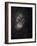 Baby orang-utan 3, 2015-Odile Kidd-Framed Giclee Print