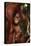 Baby Orangutan Clinging to its Mother-DLILLC-Stretched Canvas