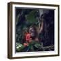 Baby Orangutan in the Jungles of North Borneo-Co Rentmeester-Framed Photographic Print