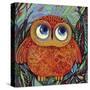 Baby Owl-Oxana Zaika-Stretched Canvas