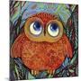 Baby Owl-Oxana Zaika-Mounted Giclee Print