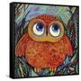 Baby Owl-Oxana Zaika-Framed Stretched Canvas